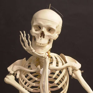 Meet your Posher, Angel